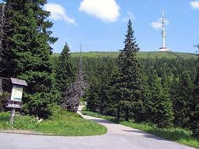 Č 1 Červenohorské sedlo - Praděd - Jelení studánka (Hrubý Jeseník I.)
