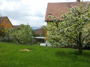 Apartmán Zlatá stezka - Jeseník
