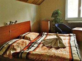 Hotelik u Dzika - Lipová lázně