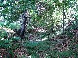 Leuchtenštejn - zbytek hradního příkopu