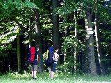 Cesta na Bor�vkovou horu - rozcestn�k 