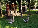 Veteran muzeum a ZOO park Rapotín