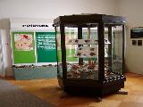 Vlastivědné muzeum v Šumperku - příroda Jesenicka
