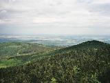Výhled do Polska z rozhledny na Borůvkové hoře