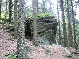 Zřícenina hradu Koberštejn - pod vrcholem kopce