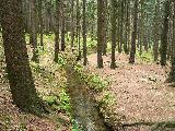 Údolí ztracených štol - vodní náhon