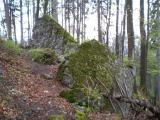 Zřícenina Nový hrad