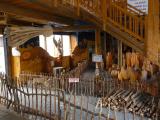 Prad�dova galerie Ji��kov