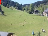 Ostru�n�