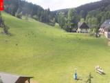 webkamera Ostru�n�