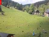webkamera Ostru�n�