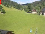 webkamera Ostru�n�