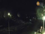 Slezsk Harta - Leskovec 1
